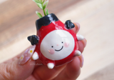 Mini Potling vase red devil