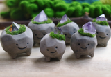 Crystal Pet Rock small