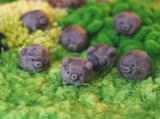 Pet Rocks Blindbox
