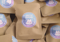 Fairy Sprites Blind bag