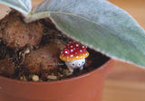 Mini Baby Fly Agaric Bear Figurine