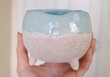 Ocean Planter Pot